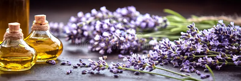 Best aromatherapy massage center in Mumbai - Angel Spa